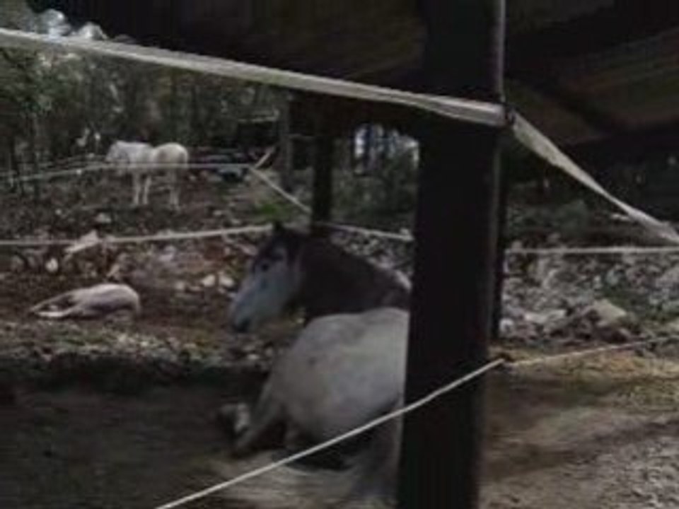 L'heure de la sieste