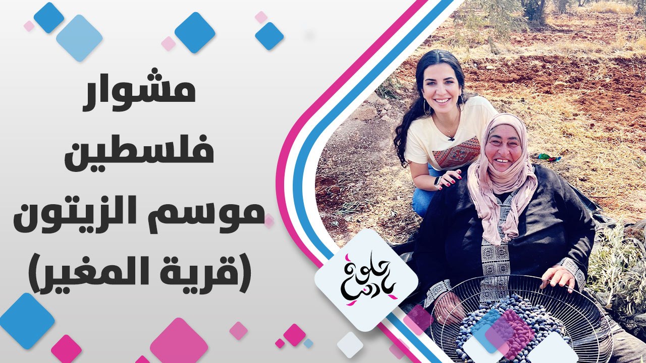 موسم الزيت موسم الخير في فلسطين، خلونا نشوف مع لمى ابوهلال