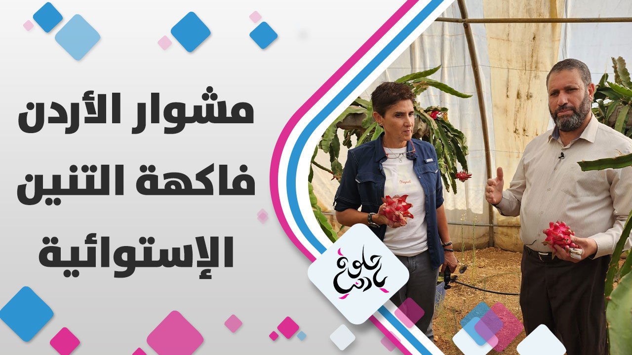 بتعرفوا إنه فاكهة التنين الإستوائية بتنزرع في الأردن؟