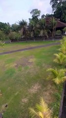 fpv foxwhoop25