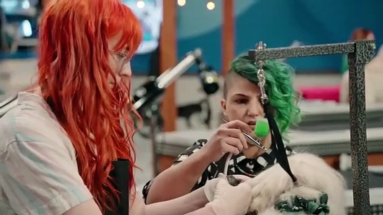 Pooch Perfect - Se1 - Ep06 HD Watch HD Deutsch