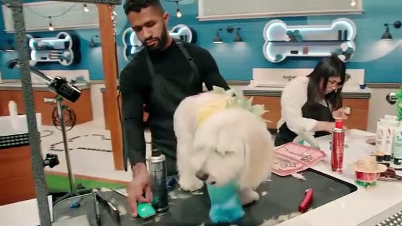 Pooch Perfect - Se1 - Ep07 HD Watch HD Deutsch