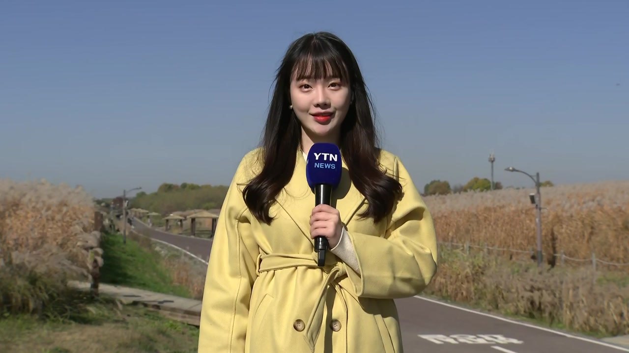 [날씨] 휴일 낮부터 추위 풀려...밤부터 서쪽 대기질 탁해 / YTN