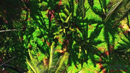 Pesona Keindahan Pulau Bali  - By Drone