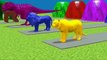 Choose The Right Drink Gift Box Run Game with Elephant Cow Gorilla Buffalo Lion Wild Animals Game-3