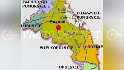 Did You Know? A Mussle-Based System || FACTS || TRIVIA