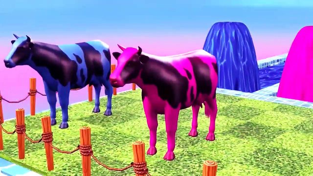 Choose The Right Drink Gift Box Run Game with Elephant Cow Gorilla Buffalo Lion Wild Animals Game-5