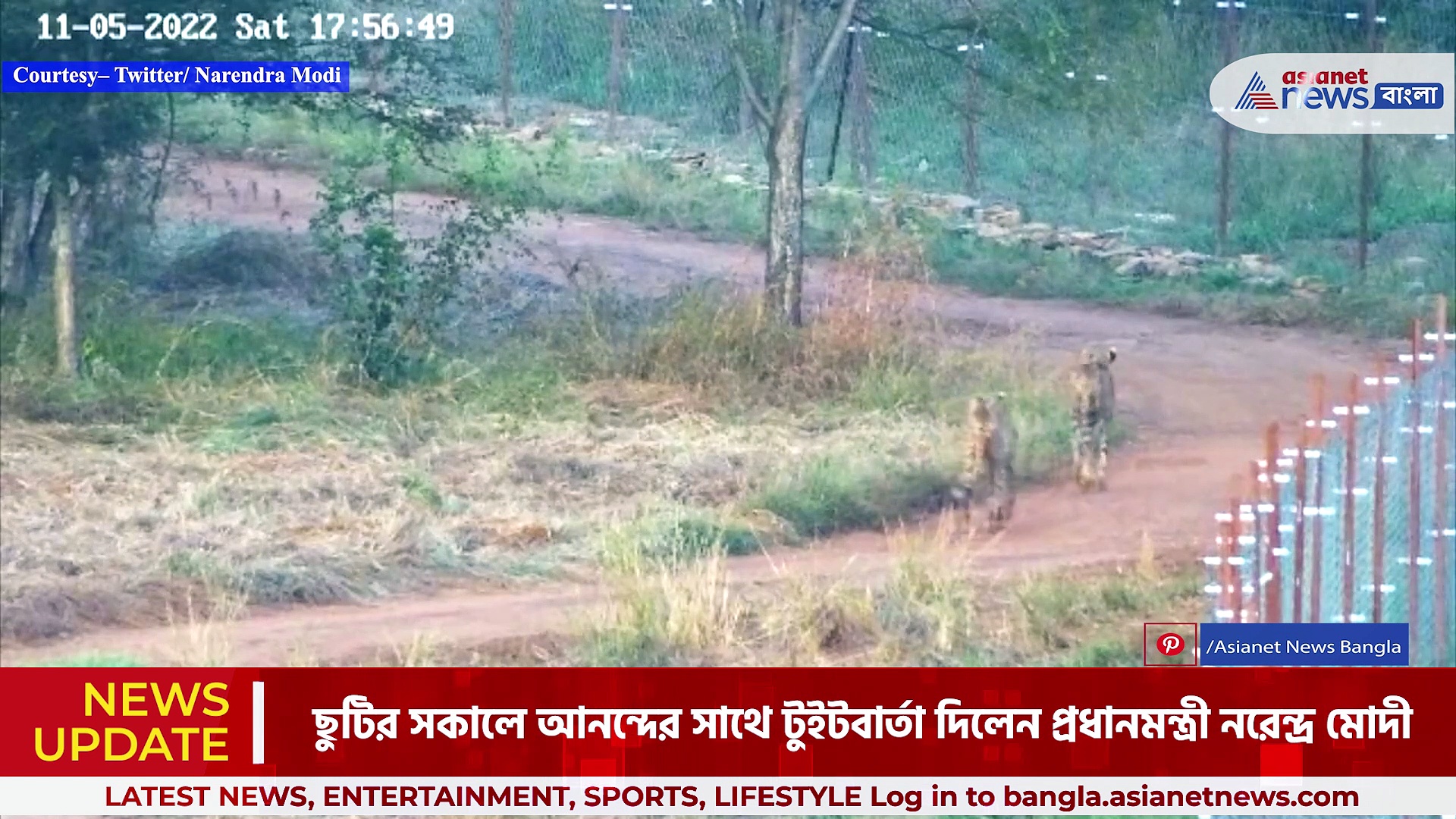 কোয়ারেন্টাইন থেকে মুক্ত  ২ আফ্রিকান চিতা, উচ্ছ্বসিত প্রধানমন্ত্রী নরেন্দ্র মোদী