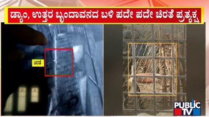 Leopard Spotted Again and Again In And Around KRS Dam | Public TV