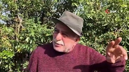 Sinop’ta traktörün altında kalan sürücü hayatını kaybetti