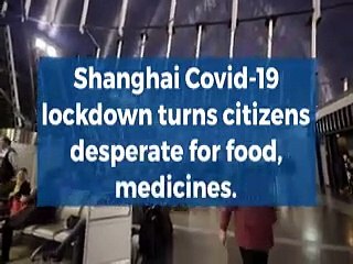 9th April 2022 l Evening l The World News Flash l #News