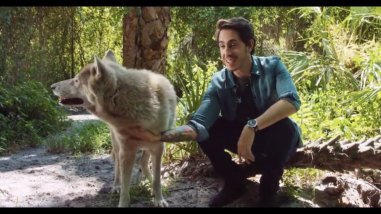 Mystery Lab - Se1 - Ep04 - From Wolf to Dog HD Watch HD Deutsch