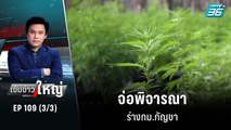 สัปดาห์หน้า จ่อพิจารณาร่างกม.กัญชา | เข้มข่าวใหญ่ (3/3) | 3 พ.ย. 65