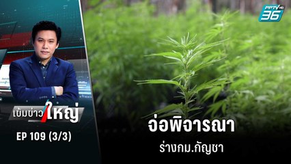 สัปดาห์หน้า จ่อพิจารณาร่างกม.กัญชา | เข้มข่าวใหญ่ (3/3) | 3 พ.ย. 65