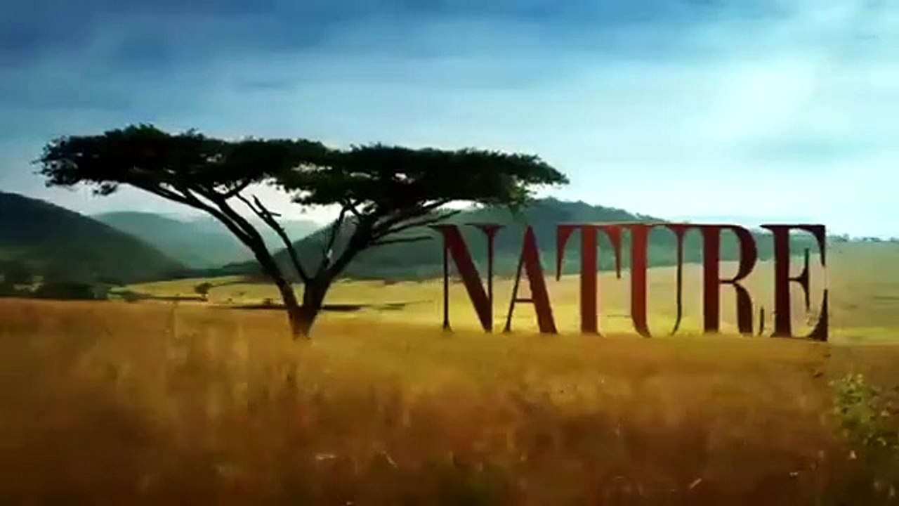 Nature - Se36 - Ep03 HD Watch HD Deutsch