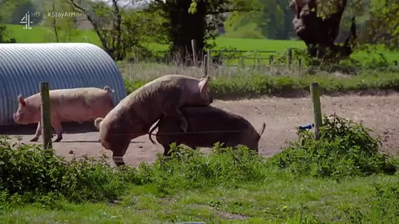 Spring at Jimmy's Farm - Se1 - Ep02 HD Watch HD Deutsch