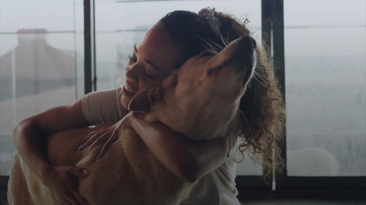 This Pet Food Brand Is Covering Adoption Fees For Senior Shelter Pets During The Month Of