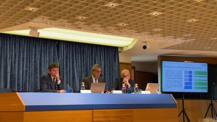 Consumi di gas a picco, Gse "Fondamentale avere dati aggiornati"