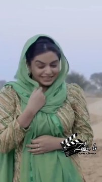 Best Indian Punjabi movie comedy scene l latest funny clip l comedy scene l Zaibi TV