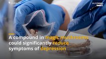 Psilocybin in magic mushrooms ‘significantly reduces’ symptoms of depression, trial shows