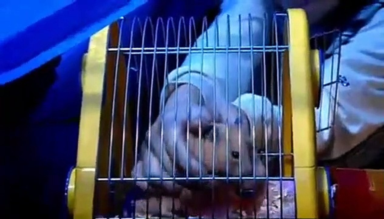 Sugar rush - se1 - ep03 hd watch hd deutsch