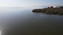 Bandırma Kuş Cenneti, göçmen kuşlar için hazırlanıyor