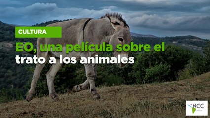 EO, una película sobre el trato a los animales