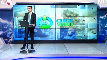 PERDIDA DE GLACIALES