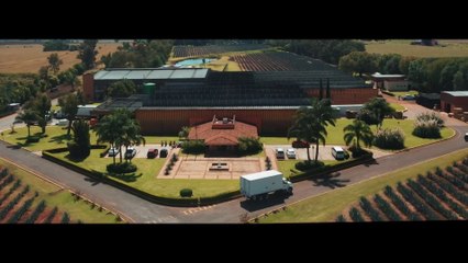 La tequilera Casa San Matías lanzó un metaverso que honra el ‘Día de Muertos’