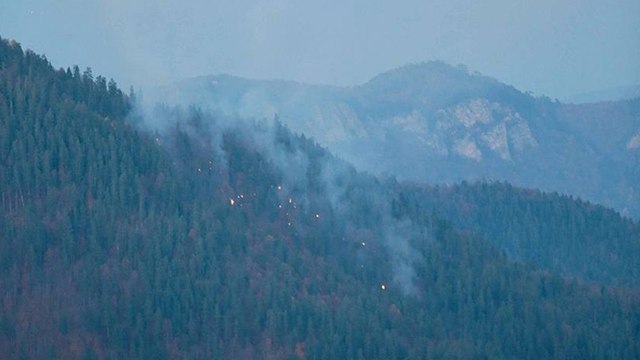 Yedigöller Milli Parkı yolunda çıkan orman yangını kontrol altına alındı