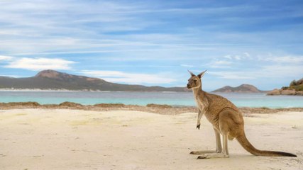 These Are the Best Beach Destinations Around the World, According to a New Report