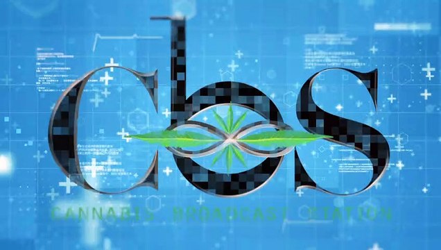 Actor Jim Belushi Opens Marijuana Dispensary on Upstate New York Indian Nation