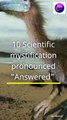 10 Mystification Answered By Scientific  | science mysteries solved