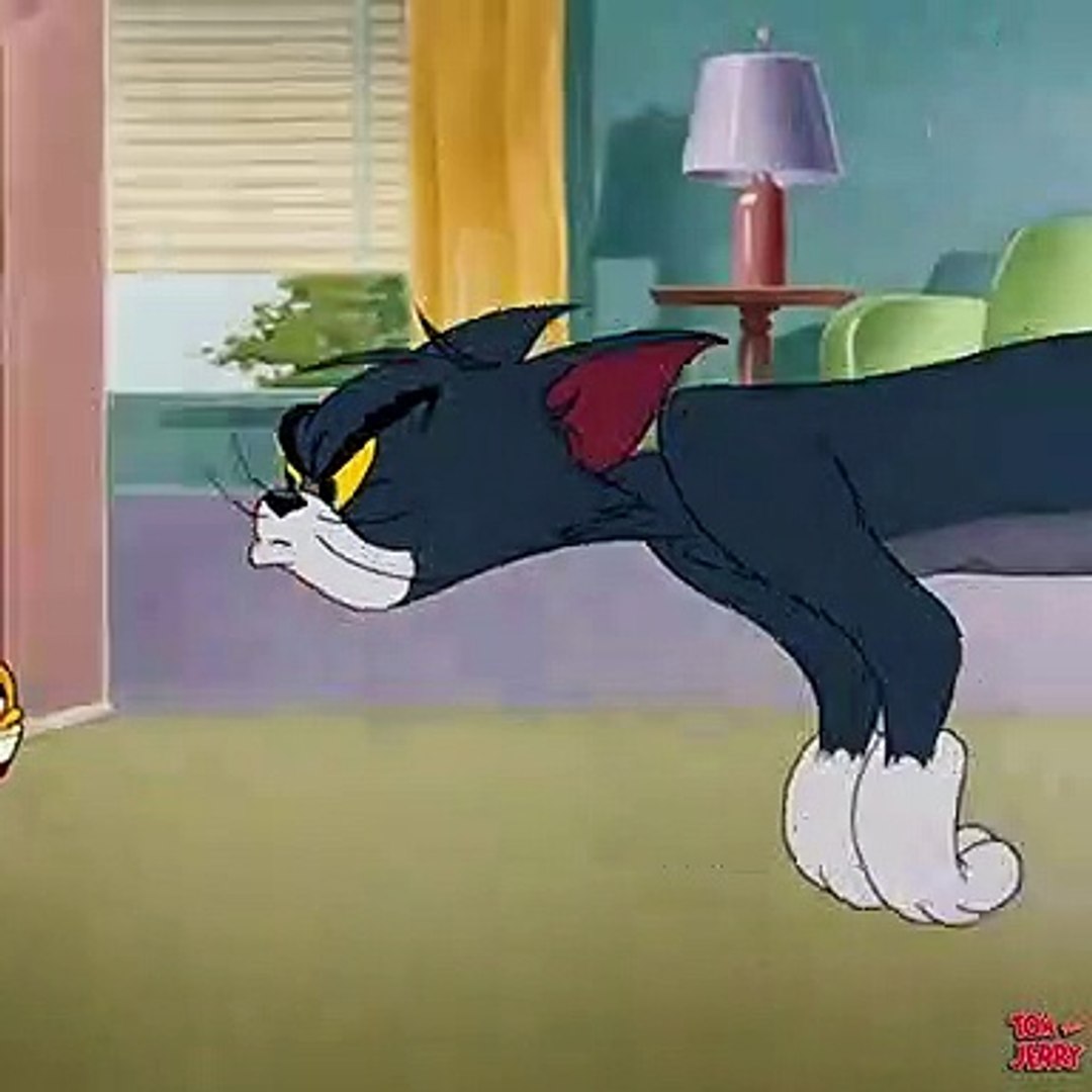 Tom and Jerry Funny - video Dailymotion