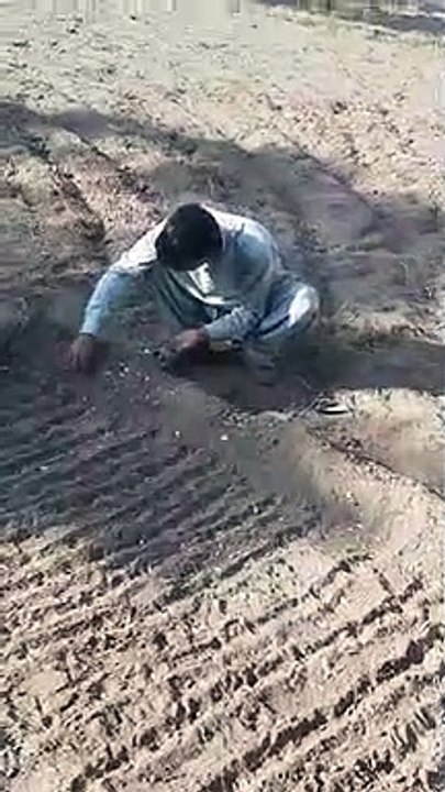 VID-20221024-WA0001