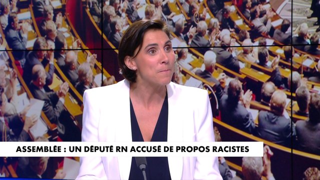 Laure Lavalette : «Il y a aussi cette liberté de ton qui permet d’expliquer ces invectives»