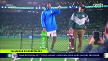 Palmeiras x Fortaleza (Campeonato Brasileiro 2022 35ª rodada) Comemoração