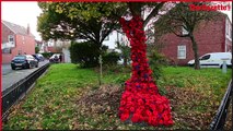 Volunteer knitters create stunning poppy waterfall memorial for Armistice Day