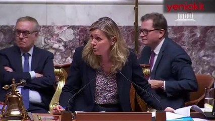 Fransız Meclisi'nde ırkçılık: Afrika'ya geri dönün