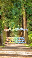 Al-Qur'an Al-ikra' #allah #alquran #view