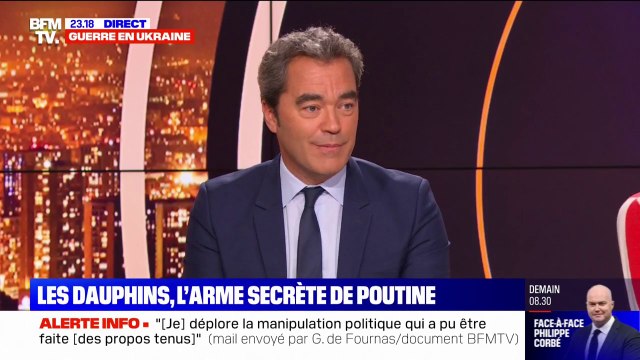 Attaque de Sébastopol: les Russes ont apprivoisé des dauphins contre les nageurs de combat ennemis