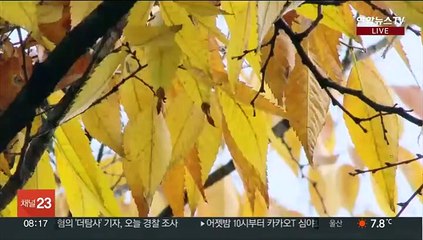 [날씨] 올가을 가장 추운 아침…주말 찬바람 계속