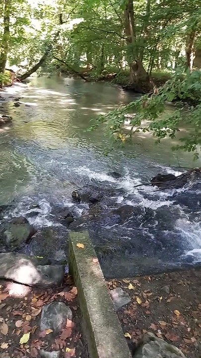 Parc du château de Vizille   Musée de la Révolution française Domaine de Vizille #vizille #châteaudevizille #parc #france #2022 (10)