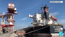 Ucrania: se reanudó la actividad portuaria tras la reincorporación de Rusia al acuerdo de granos