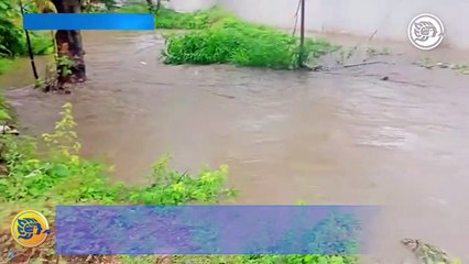Intensas lluvias generaron el desborde de dos arroyos en Moloacán