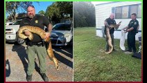 reaction after he single-handedly captures a massive 75lb 10-foot-long boa constrictor in Florida