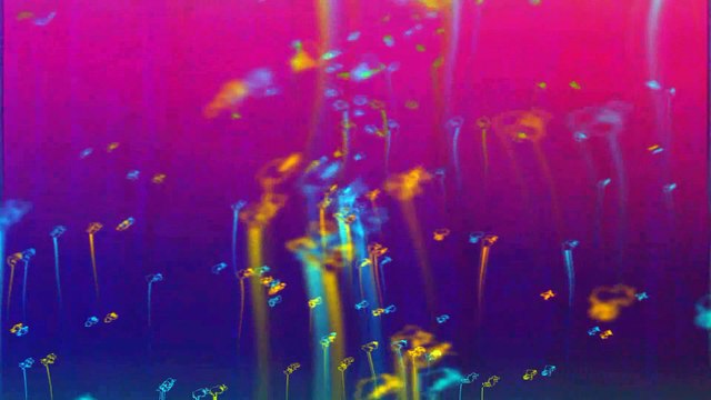 Angel in the Fire - Rockin' For Decades