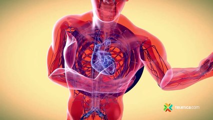 LIVE: En Profundidad - Jueves 3 Noviembre 2022