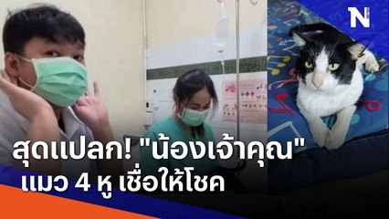 สุดแปลก! "น้องเจ้าคุณ" แมว 4 หู เชื่อให้โชค | เนชั่นทันข่าวเช้า | NationTV22
