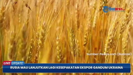 Erdogan Bak Pahlawan Berhasil Rayu Putin Mau Lanjutkan Lagi Kesepakatan Ekspor Gandum Ukraina